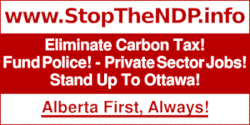 Small Stop the NDP Logo